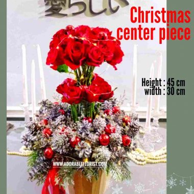 jual bunga natal